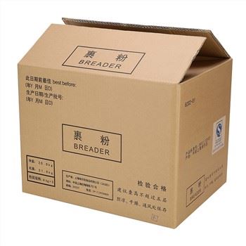 Hộp carton lớn