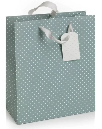 Shopping Paper Bag 2